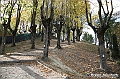 VBS_6060 - Castagnole delle Lanze